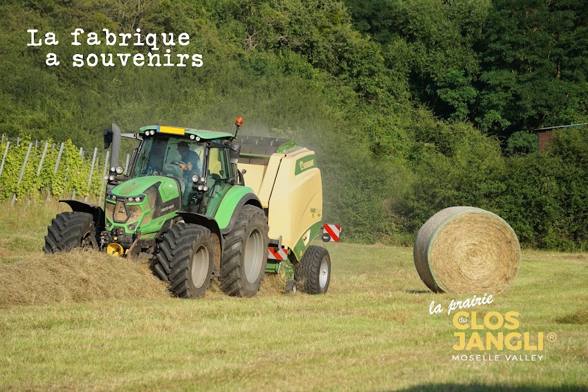La prairie du Clos Jangli